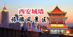黄色操逼女技师视频网拉中国陕西-西安城墙旅游风景区
